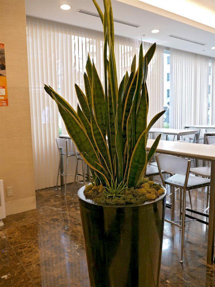 Hotel Villa Fontaine Tokyo-Otemachi מראה חיצוני תמונה
